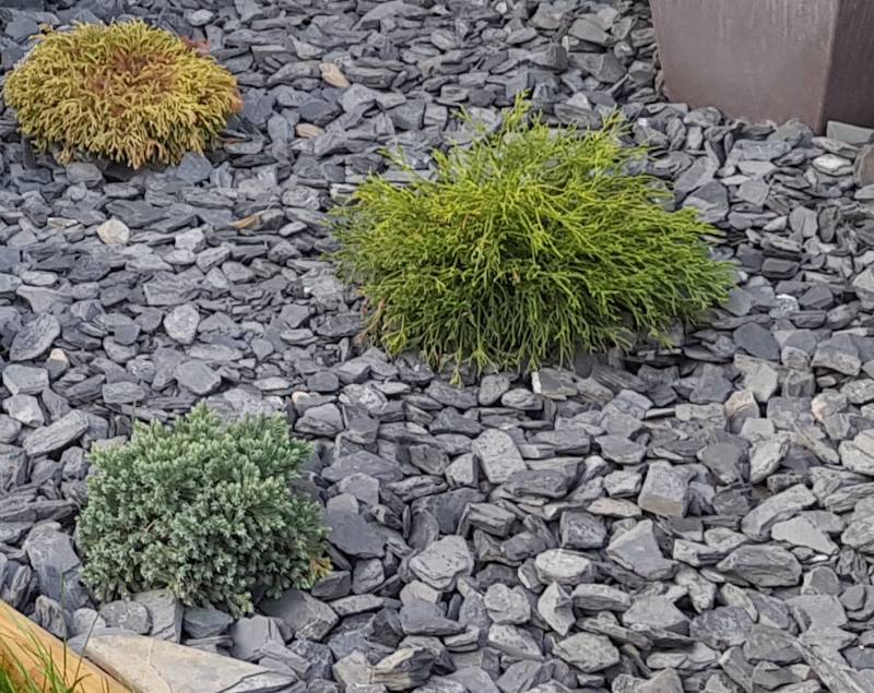 Pétales d'ardoise pour agrémenter votre jardin en Suisse