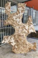 Nos prestations sur le secteur de Thonon-les-Bains